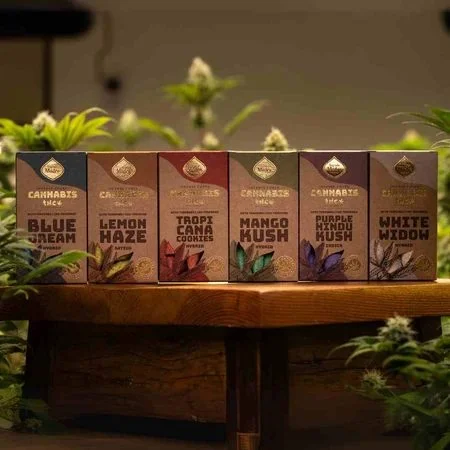 Conos Sagrada Madre Cannabis THC